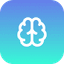 Brain Icon